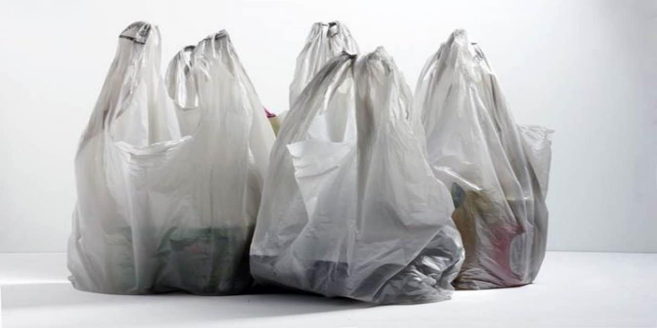 You are currently viewing The Journey to finally switching from Plastic Bags