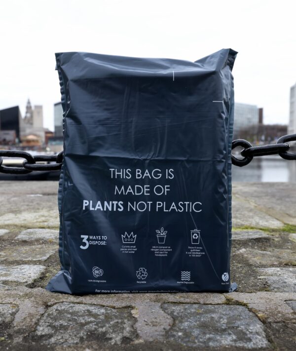 Plant Based and Plastic Free Mailing Bags - Image 2