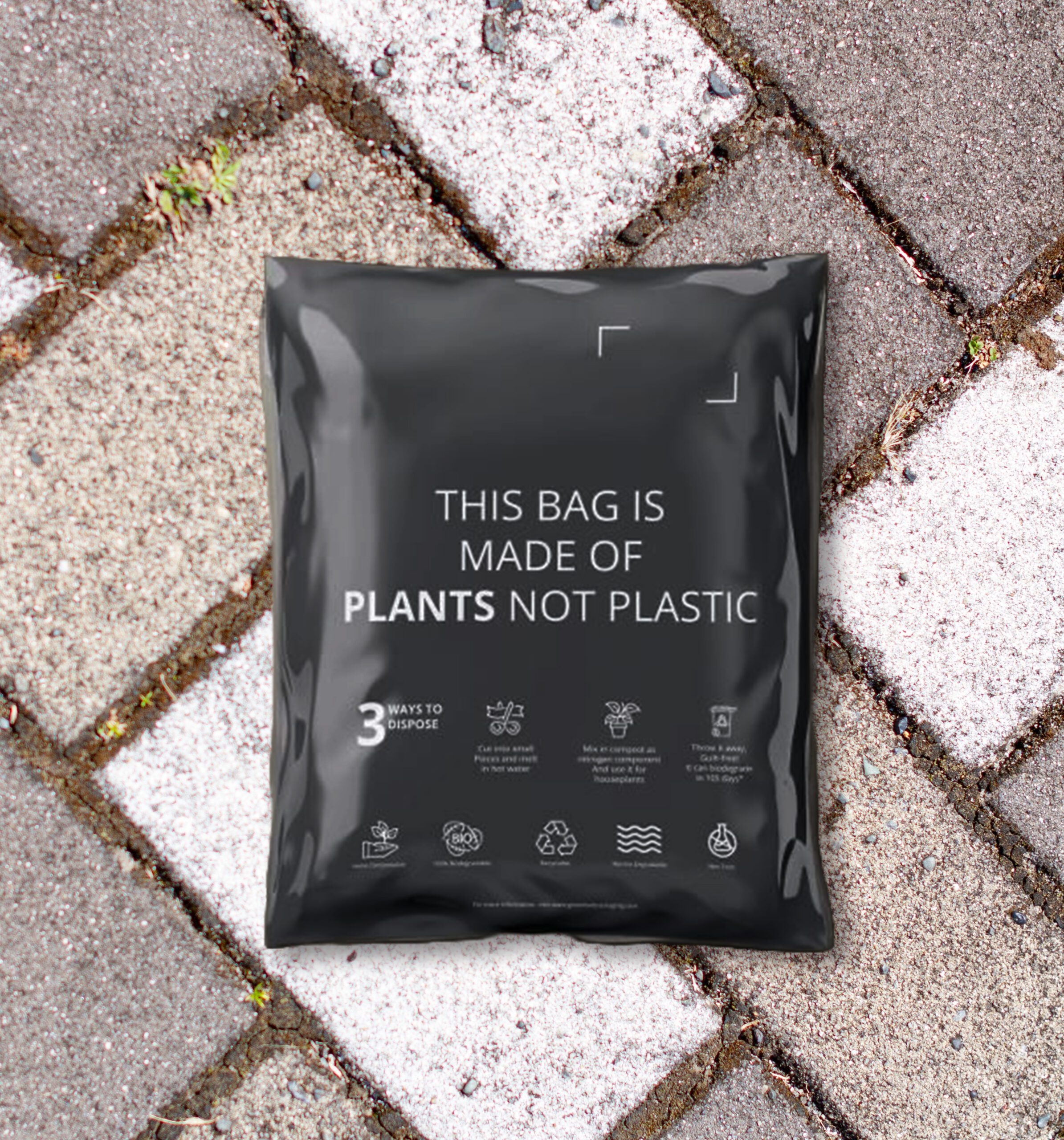 Mailing Bag scaled